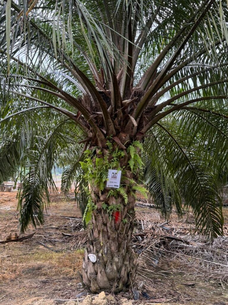 0851babe-029f-4488-98e7-3ba14c6dc61a