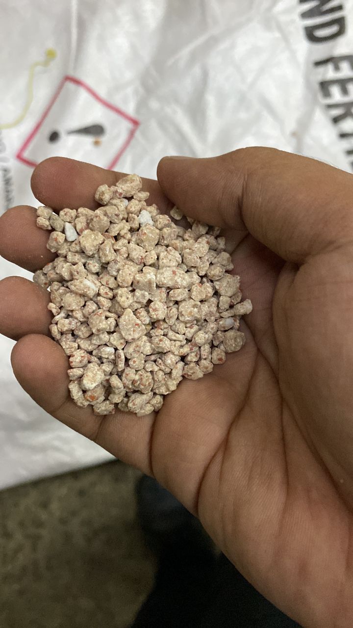 0e994331-729e-4ba1-9aca-974b5dca05ef