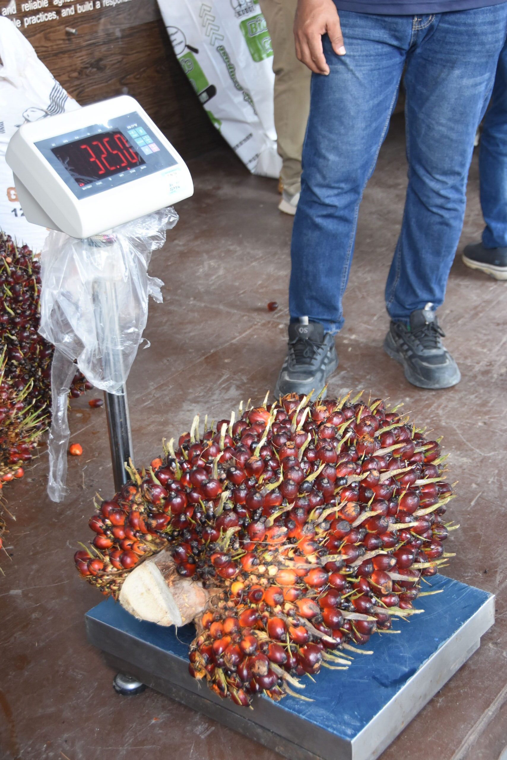 DSC_9040_optimized_2000