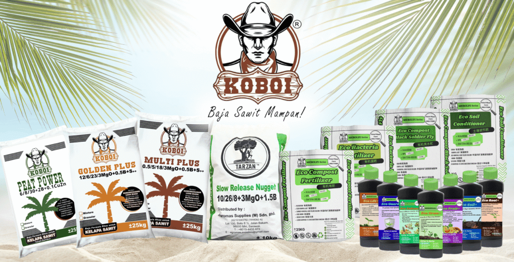 Product family photo