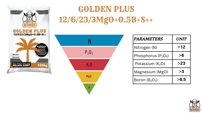 Your paragraph text (1)